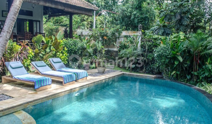 Villa Luas Tumbak Bayuh Canggu Bali Villa Luas Tumbak Bayuh Canggu Bali