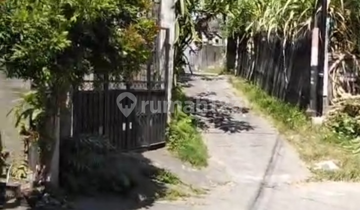 Rumah Akasia Denpasar Timur Bali