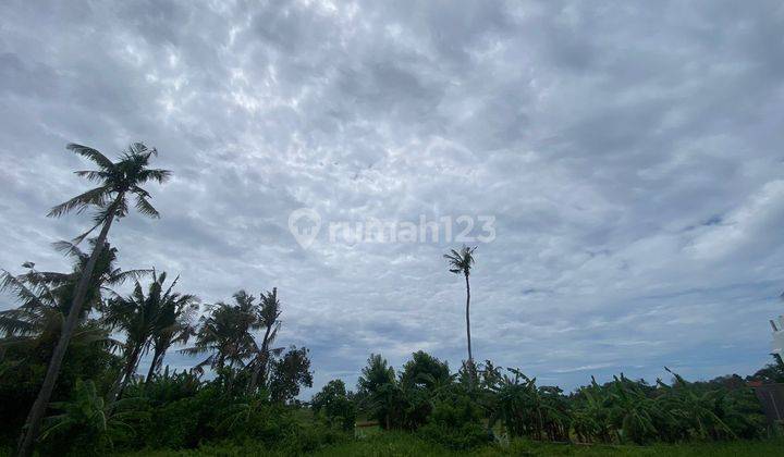 TANAH VIEW SAWAH BRABAN KEDIRI TABANAN BALI 1