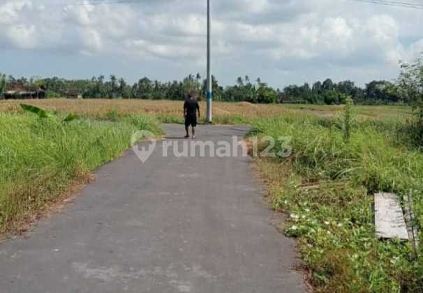 Land of Tukad Balian Renon Bali