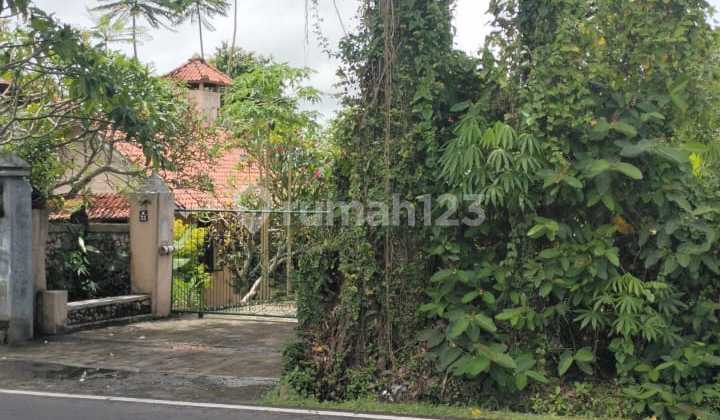 Tanah Jalan Utama Perenenan Canggu Bali Tanah Jalan Utama Perenenan Canggu Bali