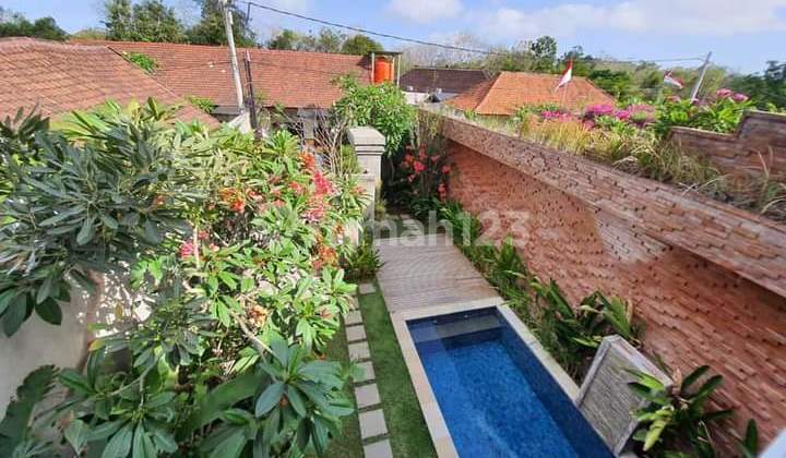 Villa Jalan Kaki Ke Pantai Jimbaran Bali Villa Jalan Kaki Ke Pantai Jimbaran Bali