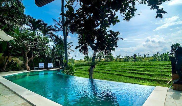 Villa Dekat Pantai Brawa View Sawah Canggu Bali 2