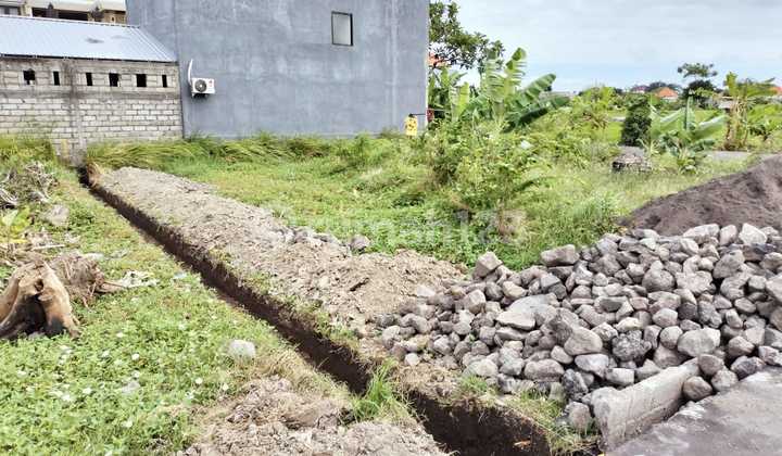 Fragrant Night Land East Denpasar Bali