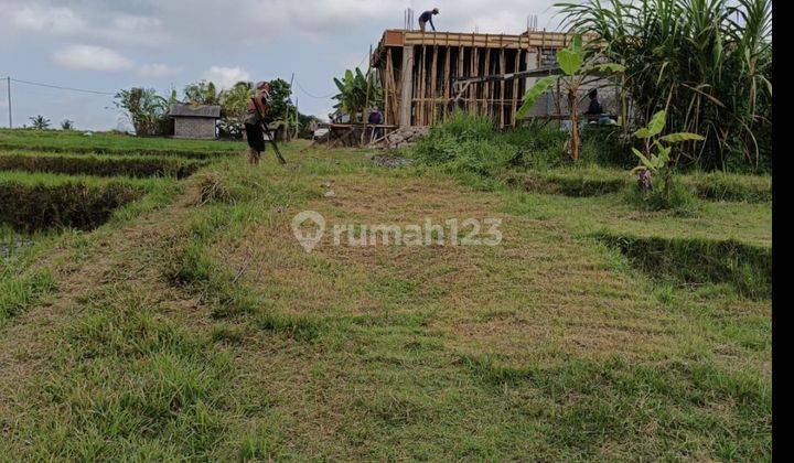 TANAH BRABAN CANGGU DEKAT TANAH LOT BALI 1