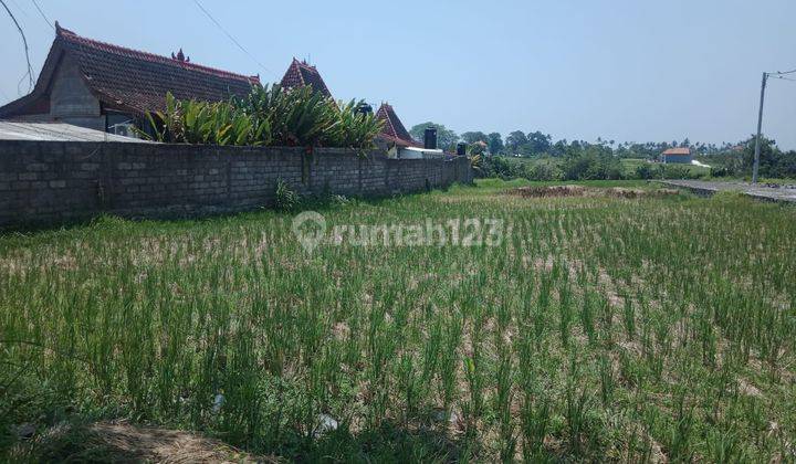 TANAH JALAN KAKI KE PANTAI SESEH MUNGGU BADUNG BALI 2