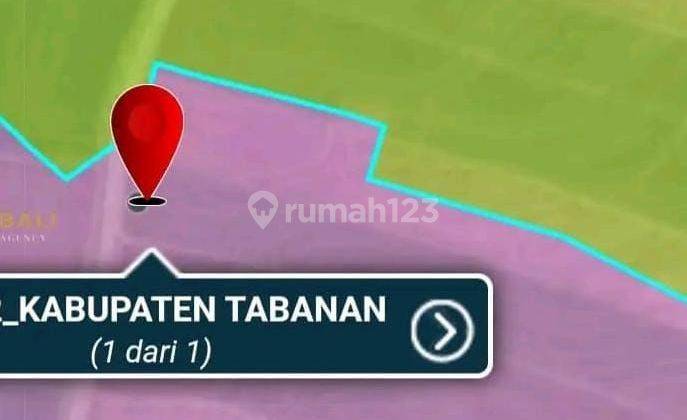 TANAH KELENCUNG TABANAN BALI 2