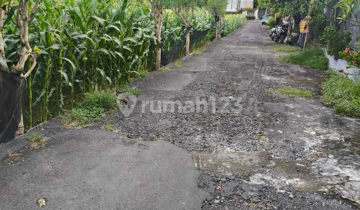 Tanah Jalan Kaki ke Pantai Padang Galak Sanur Bali