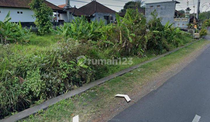 Tanah Braban Canggu Bali 1