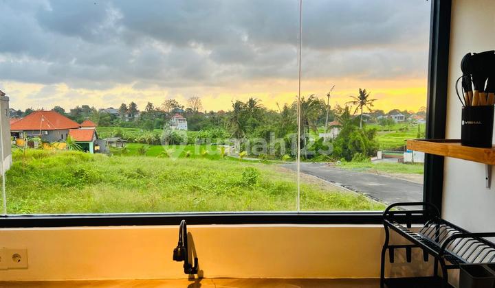 Rumah View Sawah Munggu Bali 2