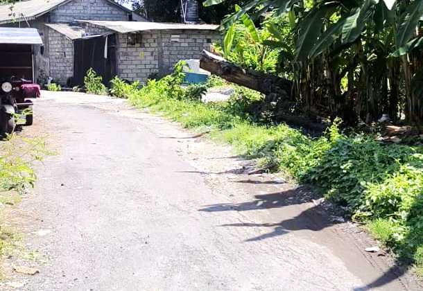 Tanah Jayagiri Denpasar Timur Bali Tanah Jayagiri Denpasar Timur Bali