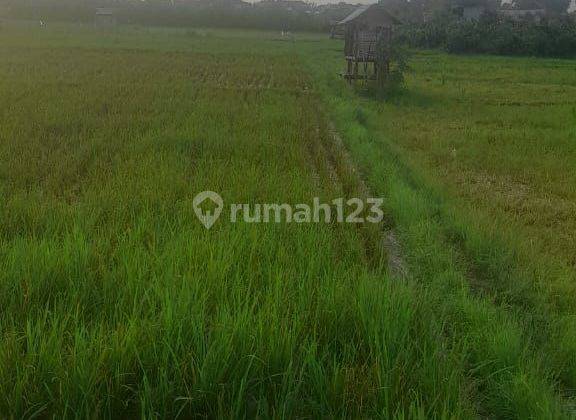 TANAH JALAN KUNTI VIEW SAWAH SEMINYAK BALI 2