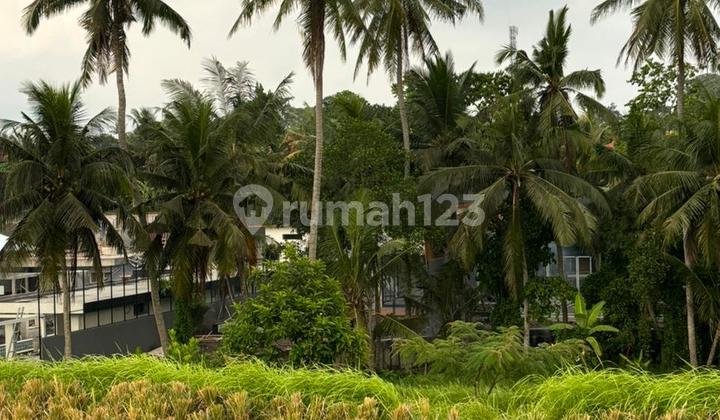 Villa Compound Land in Singapadu Near Ubud Bali Villa Compound Land in Singapadu Near Ubud Bali