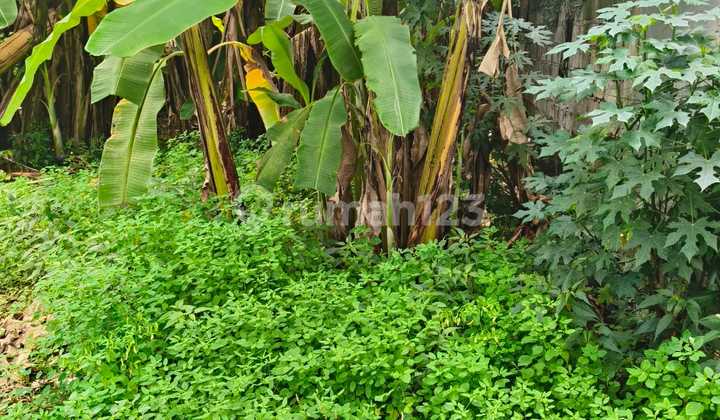 Land Near Betngandang Sanur Bali