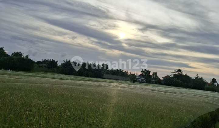 Kutat Lestari Land Sanur Bali Kutat Lestari Land Sanur Bali