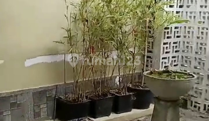 Rumah Kamar Tidur 2+1 Gudang, Bersih, Nyaman dan Ventilasi yang Baik, Kota Batam 2