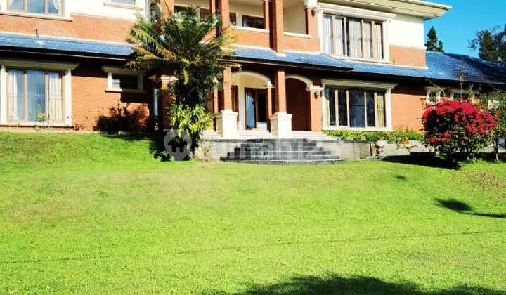 The Largest and Most Luxurious Colibah Villa