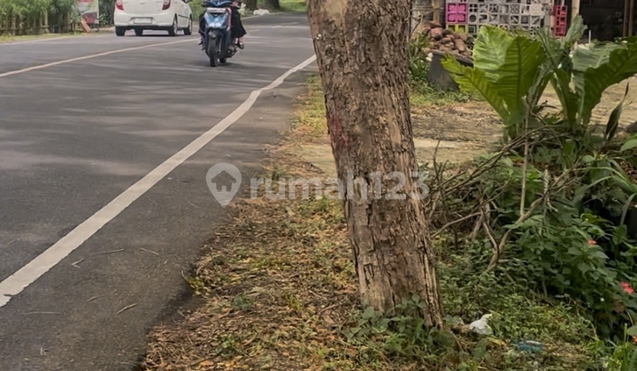 Tanah Jl Raya Cianjur Dekat Rm Cibereum Puncak Jabar Tanah