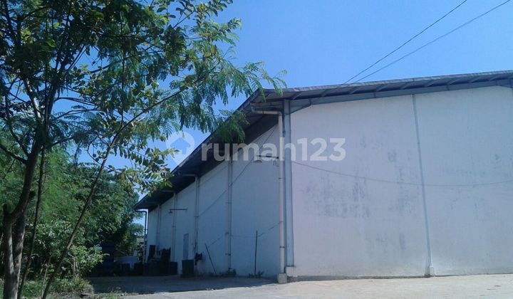 Warehouse on Jl Raya Serang Km 33 Banten Warehouse on Jl Raya Serang Km 33 Banten