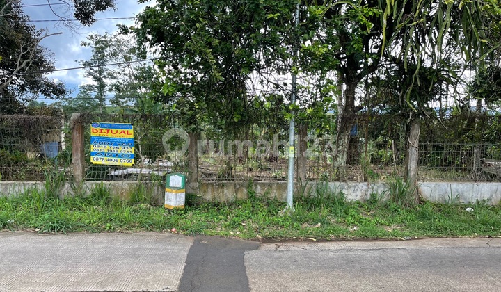 Land Near The Nice Fantastic View Tourist Area Surrounded by Mountains