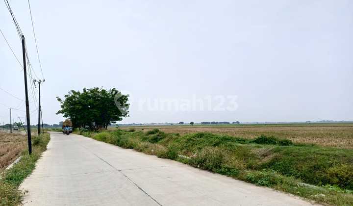 Tanah Perumahan Akses Keluar Pintul Tol Gabus Tambelang Tambun Bekasi Utara Tanah