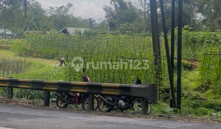 Land on Cianjur Main Road Near Cibereum Restaurant Puncak West Java Land Land on Cianjur Main Road Near Cibereum Restaurant Puncak West Java Land