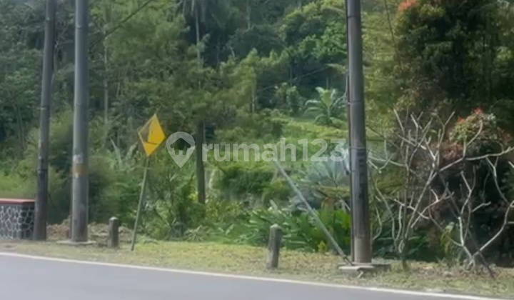 Red Bridge Land Cigedil Cianjur Near the City Land Red Bridge Land Cigedil Cianjur Near the City Land