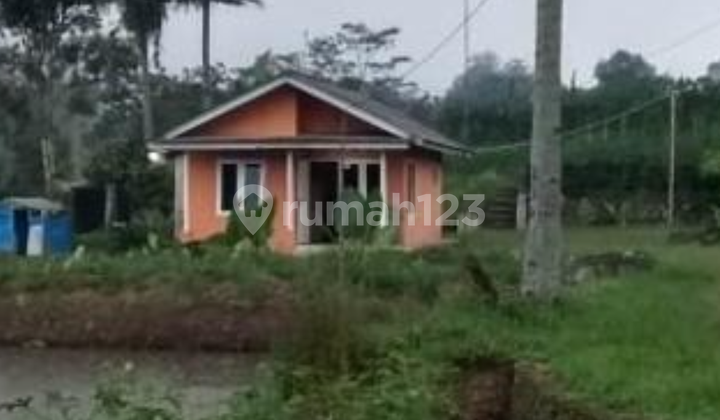 Commercial Land in a Natural Setting. Near Taman Bunga Nusantara Puncak, West Java. Commercial Land in a Natural Setting. Near Taman Bunga Nusantara Puncak, West Java.