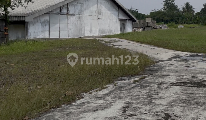 Warehouse Ready to Use, 3 Warehouses, Container Access, Very Cheap Warehouse Ready to Use, 3 Warehouses, Container Access, Very Cheap