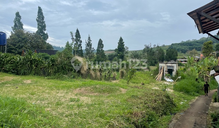 Strategic Land Near Carmel Valley, Puncak, West Java Land