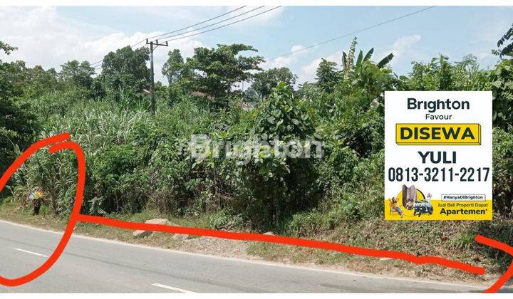 Disewakan: Lahan Luas strategis poros Jalan Utama P. Suryanata-Akses Mudah dan Strategis 1