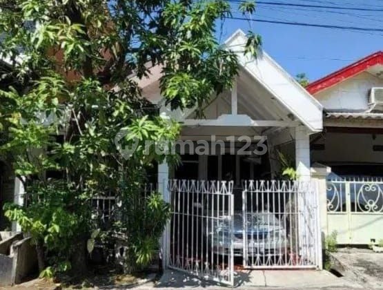 S167*dijual Rumah Klampis*