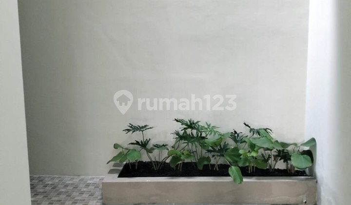 Yes 189 Update Price *New Fresh Semampir Minimalist House* 2