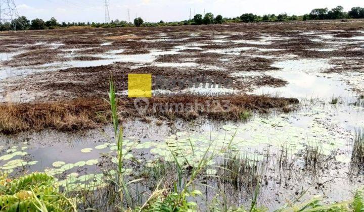 Tanah  Kawasan Industri Tanjung Api Api 2