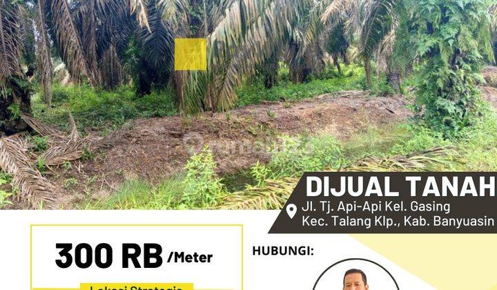 Tanah Dijual di Pinggir Sungai Tanjung Api Api Cocok untuk Pelabuhan 1