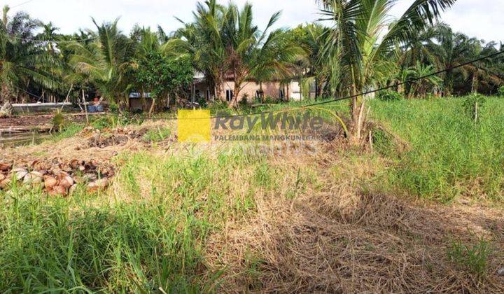 Dijual Tanah Desa Teluk Payo dekat Tanjung Api Api 2