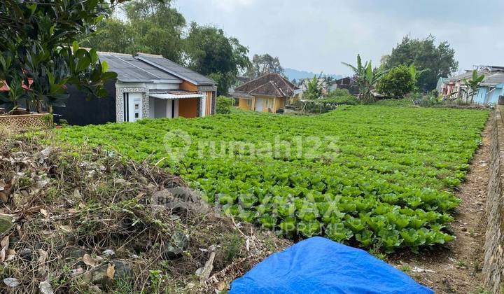 Dijual Tanah Murah Investasi Strategis Di Cipanas Kota Bogor 1