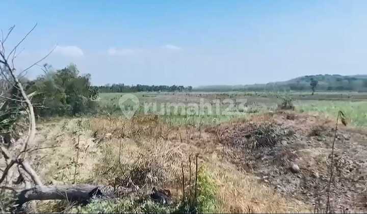 Dijual Tanah Strategis Di Rembang, Jawa Tengah #DD29OKT25