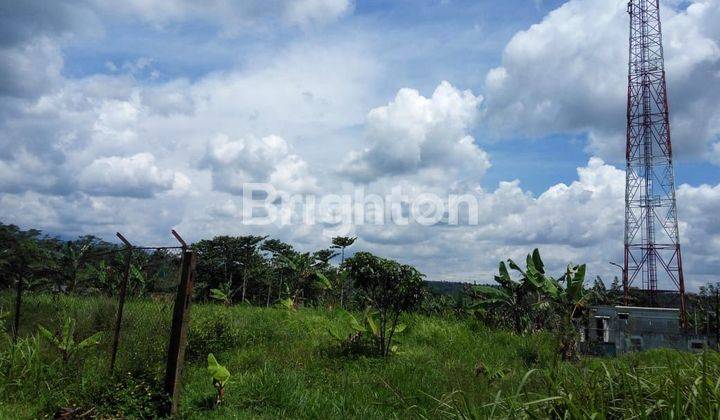 Dijual Tanah Siap Bangun, Lokasi Strategis di pinggir Jalan Lewinanggung, Cicurug Sukabumi Jawa Barat. 1