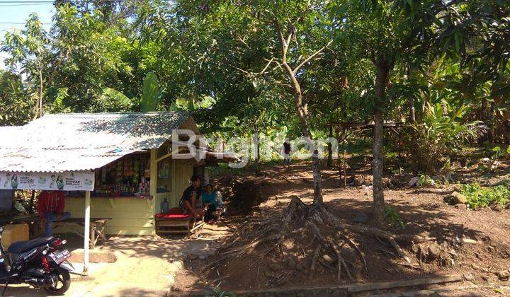 Di Jual Tanah Produktif di Desa Cisolok Sukabumi Jawa Barat. 1