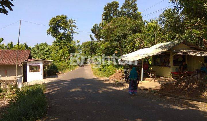 Di Jual Tanah Produktif di Desa Cisolok Sukabumi Jawa Barat. 2