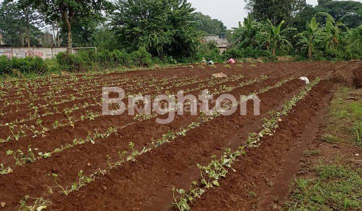 Di Jual Tanah luas pinggir Danau Situ Gede - Bogor Barat 1