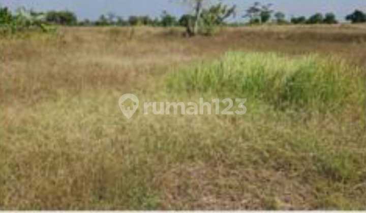 Dijual Tanah Industri Jalan Raya Mantup Lamongan  2
