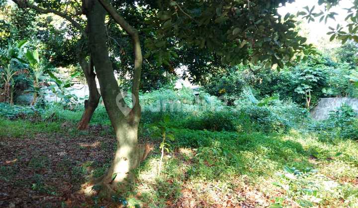 Dijual Cepat Tanah Untuk Pembuatan Cluster di Jatibening Dijual Cepat Tanah Untuk Pembuatan Cluster di Jatibening