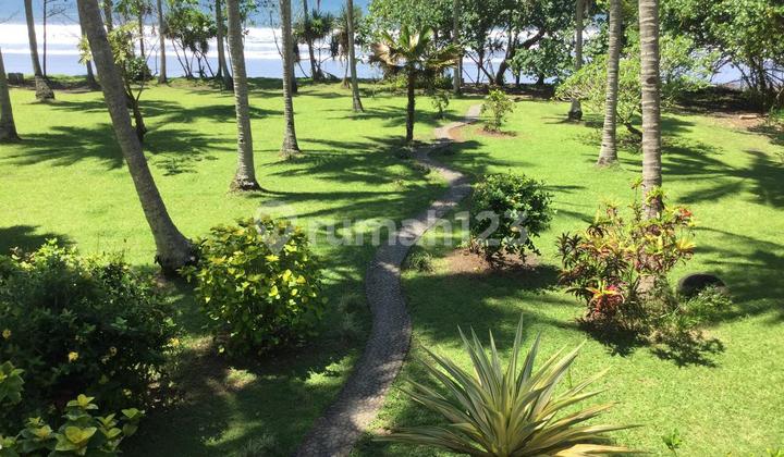 Dijual Tanah Pusat Wisata Hadap Pantai Perkutatan Bali Dijual Tanah Pusat Wisata Hadap Pantai Perkutatan Bali
