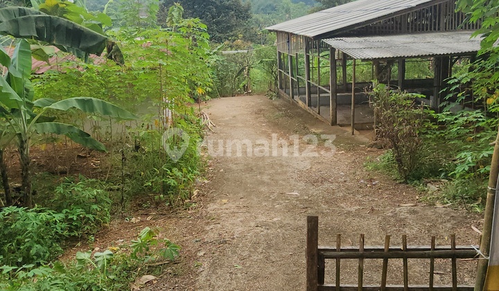 Di Jual Cepat Tanah Jl. Raya Singajaya, Jonggol Bogor Shm 11.000 M² (harga Permeter 500rb) Bisa Nego Di Jual Cepat Tanah Jl. Raya Singajaya, Jonggol Bogor Shm 11.000 M² (harga Permeter 500rb) Bisa Nego