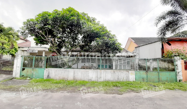 50m House to Main Road, Wide Road Row Suitable for Warehouse 50m House to Main Road, Wide Road Row Suitable for Warehouse