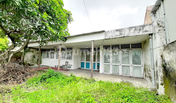 50m House to Main Road, Wide Road Row Suitable for Warehouse 50m House to Main Road, Wide Road Row Suitable for Warehouse