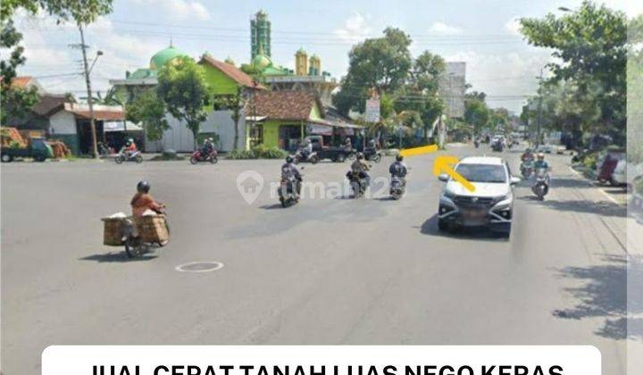 Jual Cepat Tanah Luas Nego Keras Lokasi Premium 1