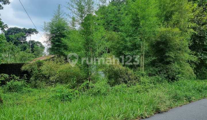 TANAH LUAS MURAH SAMPING JL. TURGO KALIURANG PAKEM 1